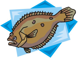 Flounder2