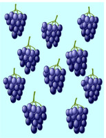 GrapeClusters