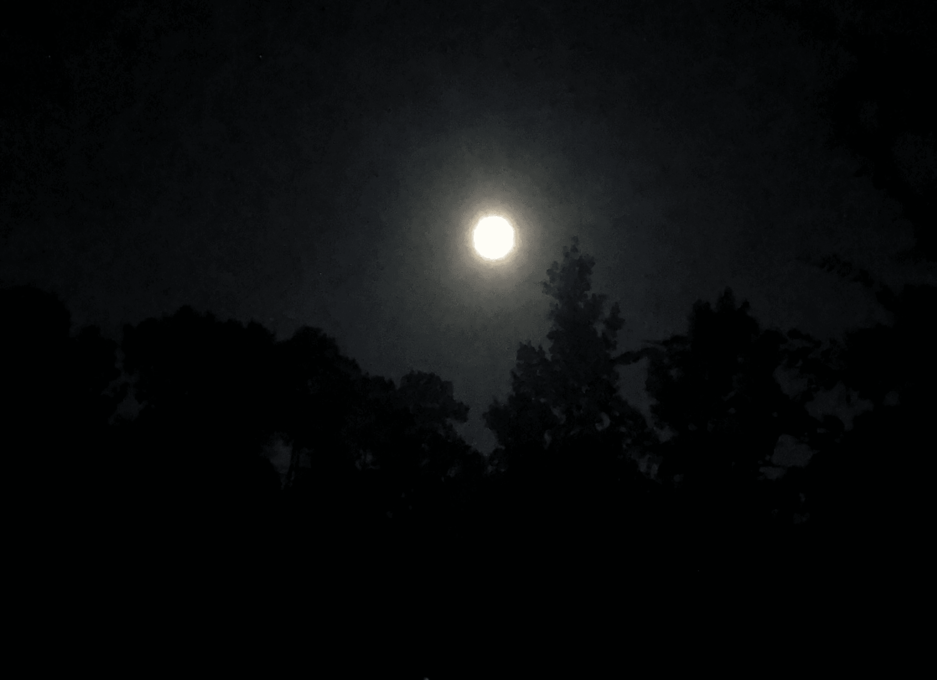 Shine On Harvest Moon