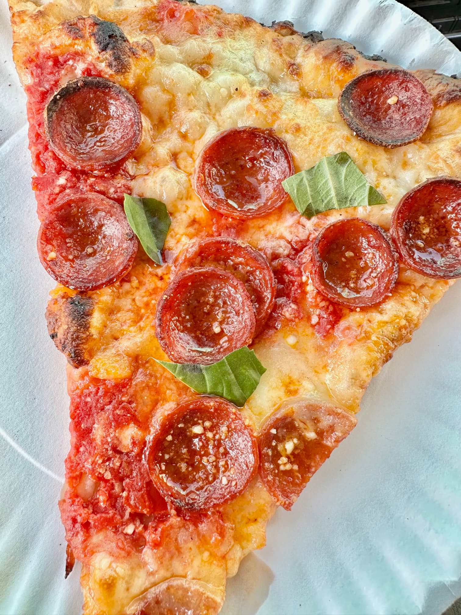 New New York Pizza