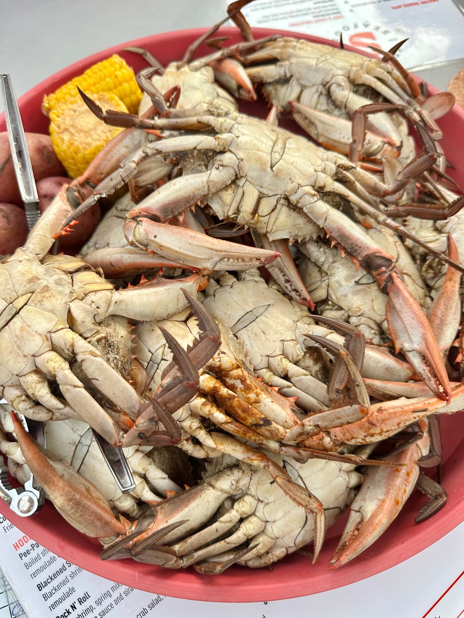 A Harahan Dive