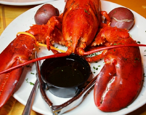 Drago's lobster.