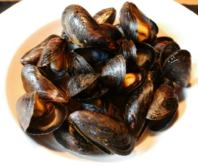 Mussels.