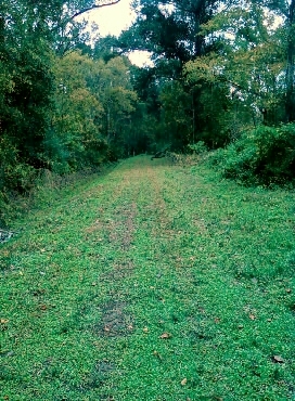 The trail at Manresa.