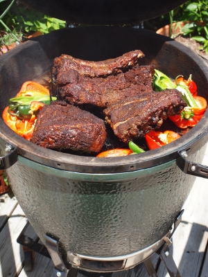Ribs and peppers on teh Big Green Egg.