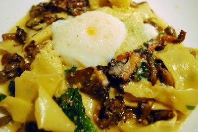Papperdelle pasta with mushrooms and a poached egg. 